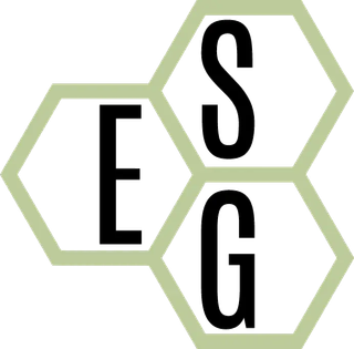 ESG Solutions Srl